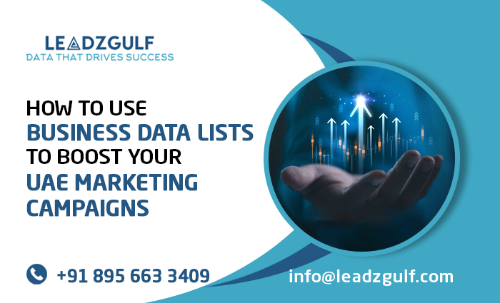 Marketer analyzing business data lists UAE for a targeted marketing campaign