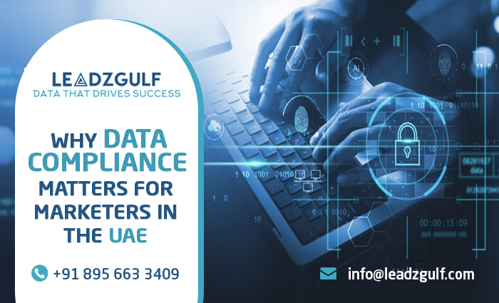 Marketer reviewing data compliance policies in UAE for a digital marketing campaign